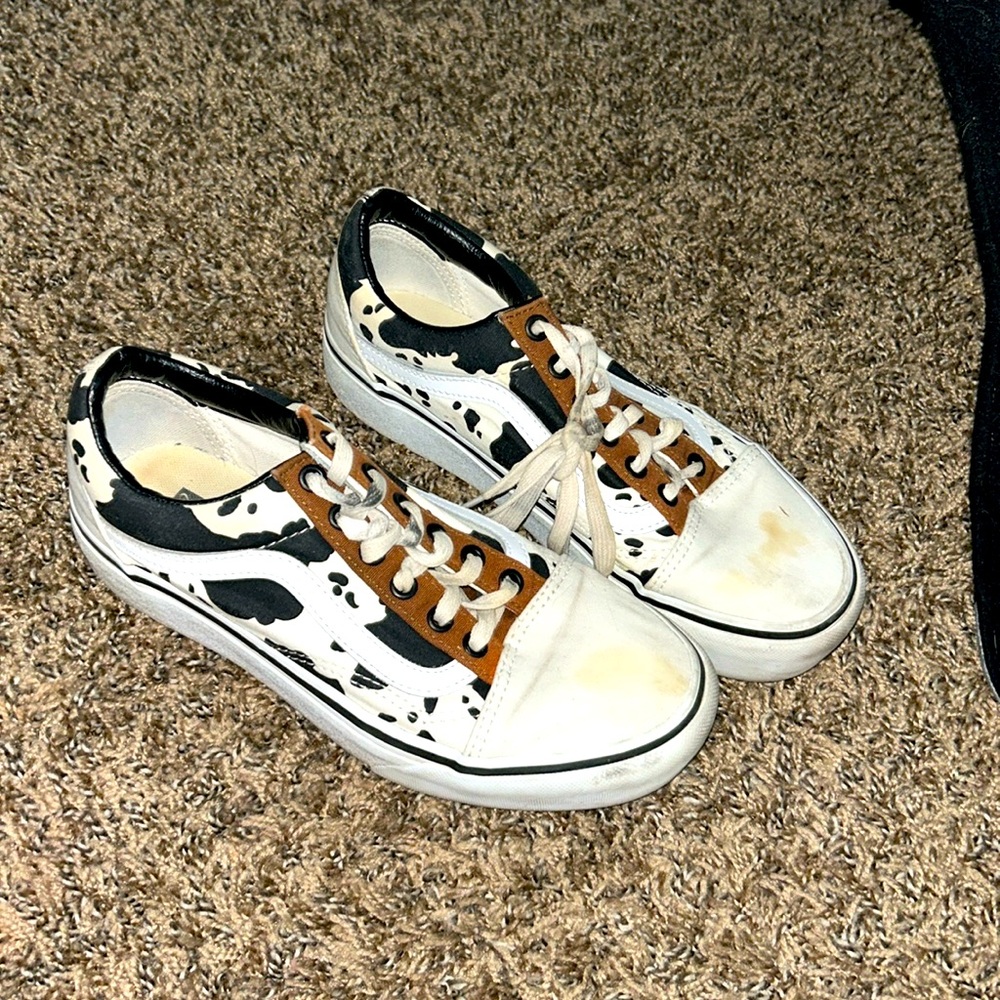 Custom vans